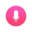 Voice Journal For Adults With Passcode