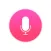 Voice Journal For Adults With Passcode