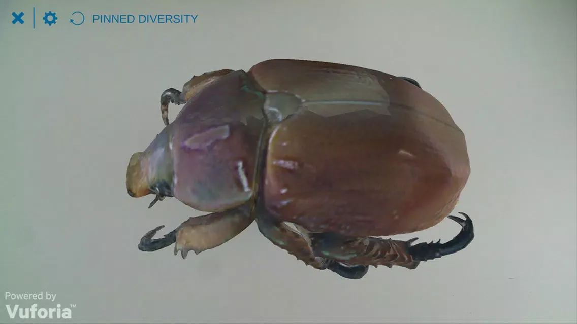 Pinned Diversity سکرین شاٹس