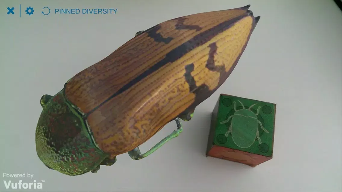 Pinned Diversity سکرین شاٹس