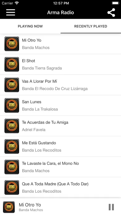 Screenshot di Arma Radio