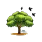 GeoTrees v4