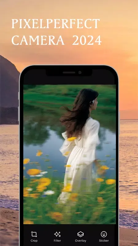 Screenshot di PixelPerfect