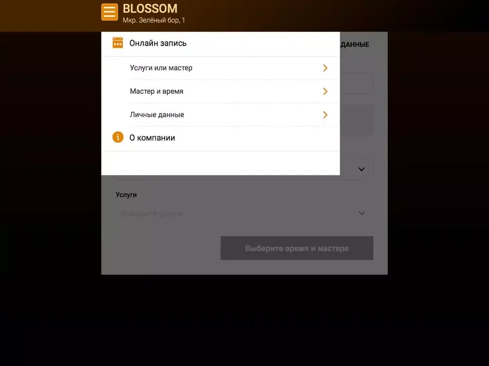 تصاویر Blossom iPad 