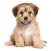 Puppy Pet Jigsaw Puzzle Cute Dog Animal Kids Games