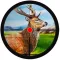 Sniper Deer Bow Hunter Shooting : Beast Jungle Wild Animal Reloaded