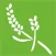 Guia de Aromaterapia
