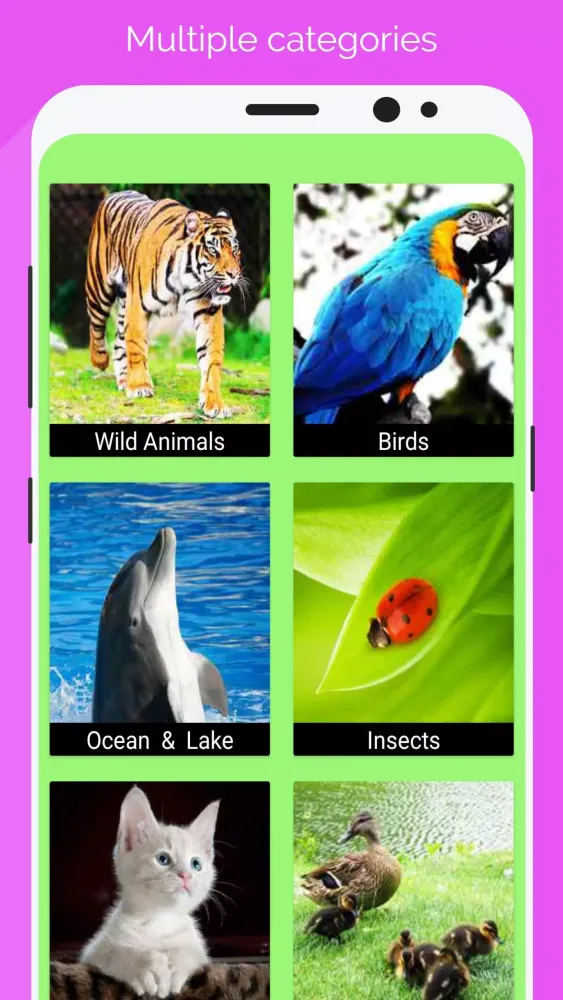 Animal Sounds : Ringtones应用截图