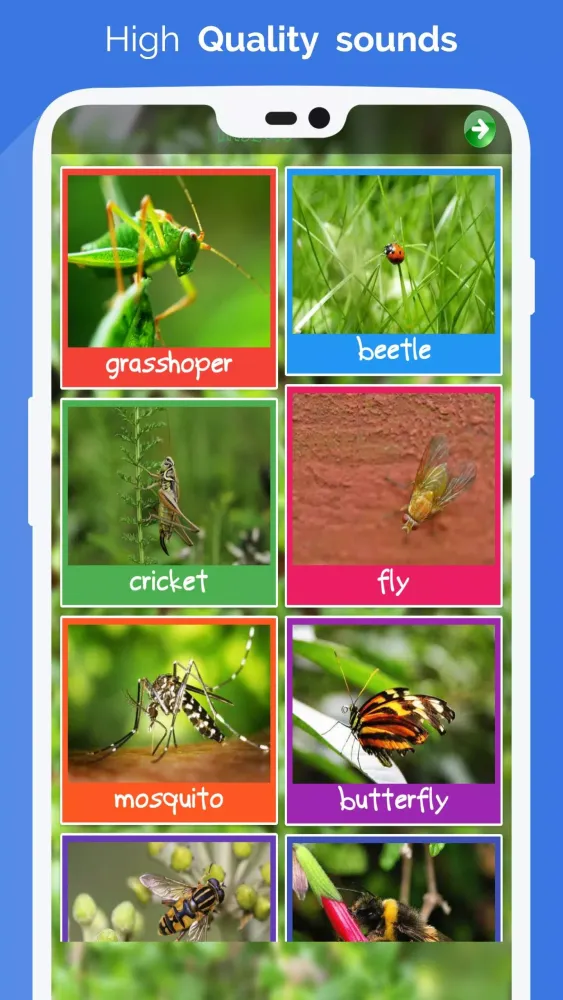 Animal Sounds : Ringtones应用截图