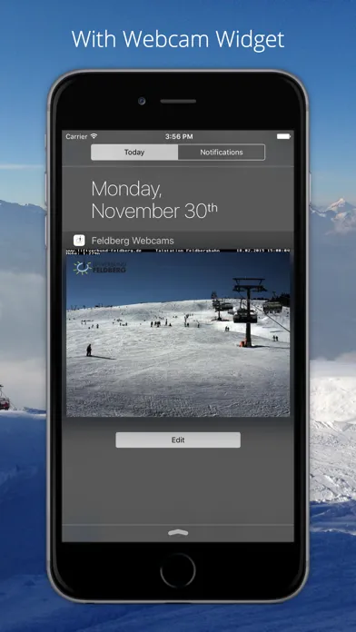 Tangkapan layar Feldberg Webcams