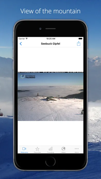 Tangkapan layar Feldberg Webcams