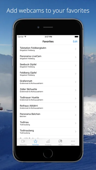 Tangkapan layar Feldberg Webcams