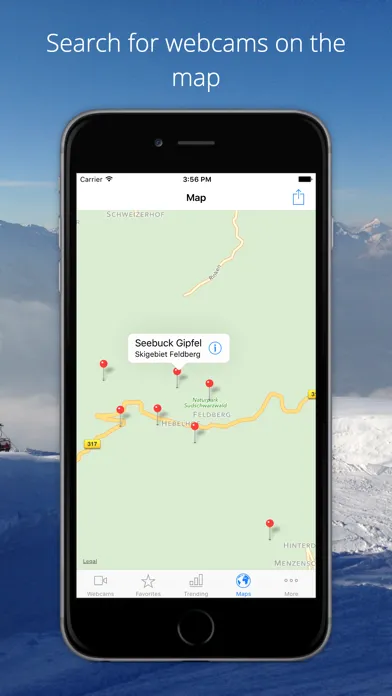 Tangkapan layar Feldberg Webcams