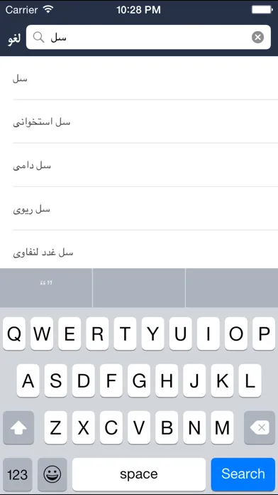 فرهنگ لغت هوشیار پارسی應用截圖