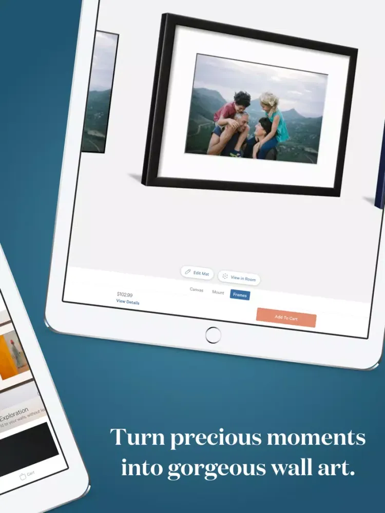Art.com iPad  Screenshots