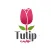 Tulip توليب