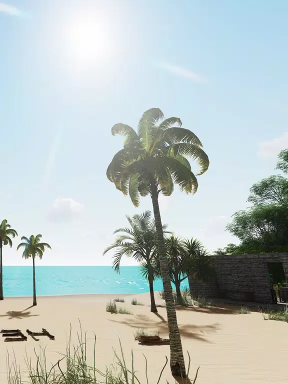 Capturas de tela do Can you escape Asian Beach iPad 