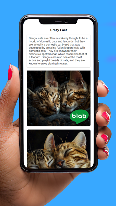Blab - AI Search Engine應用截圖