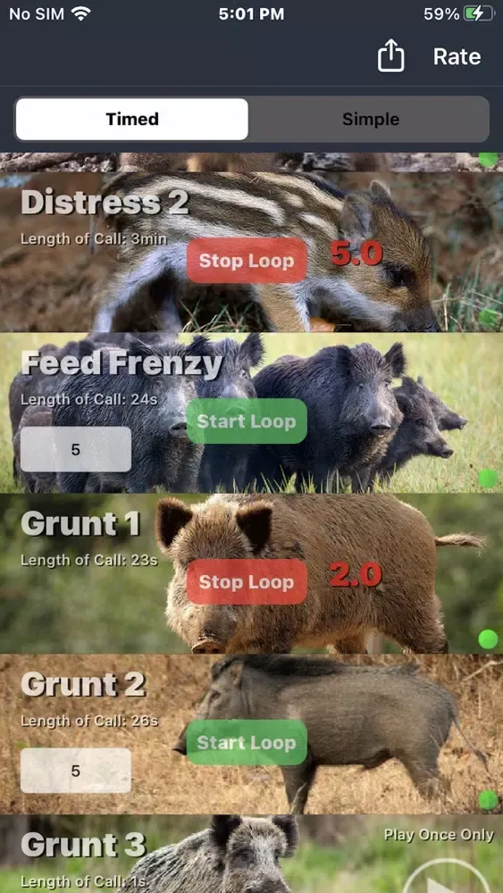 Hog Calls Screenshots