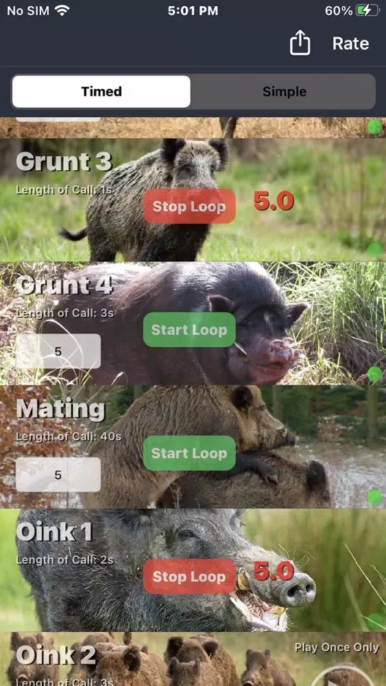 Hog Calls Screenshots