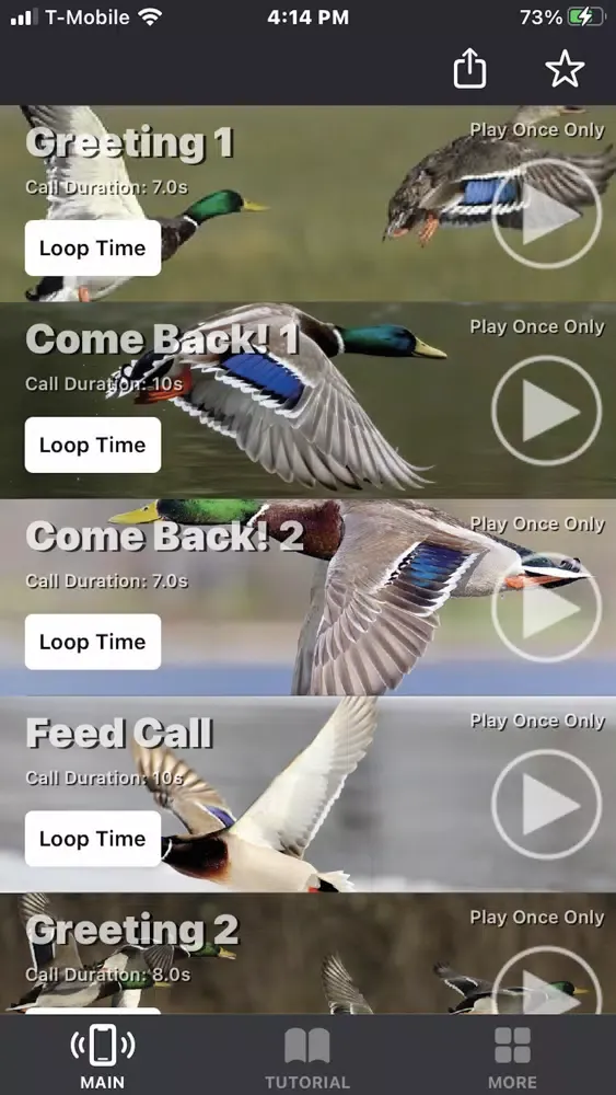 Mallard Duck Calls Screenshots