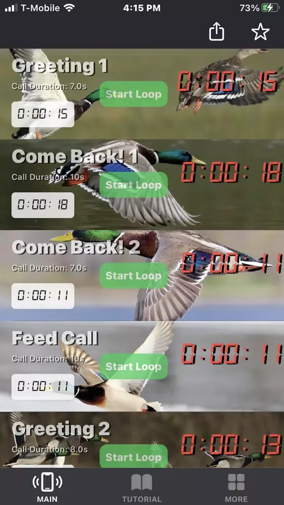 Mallard Duck Calls Screenshots