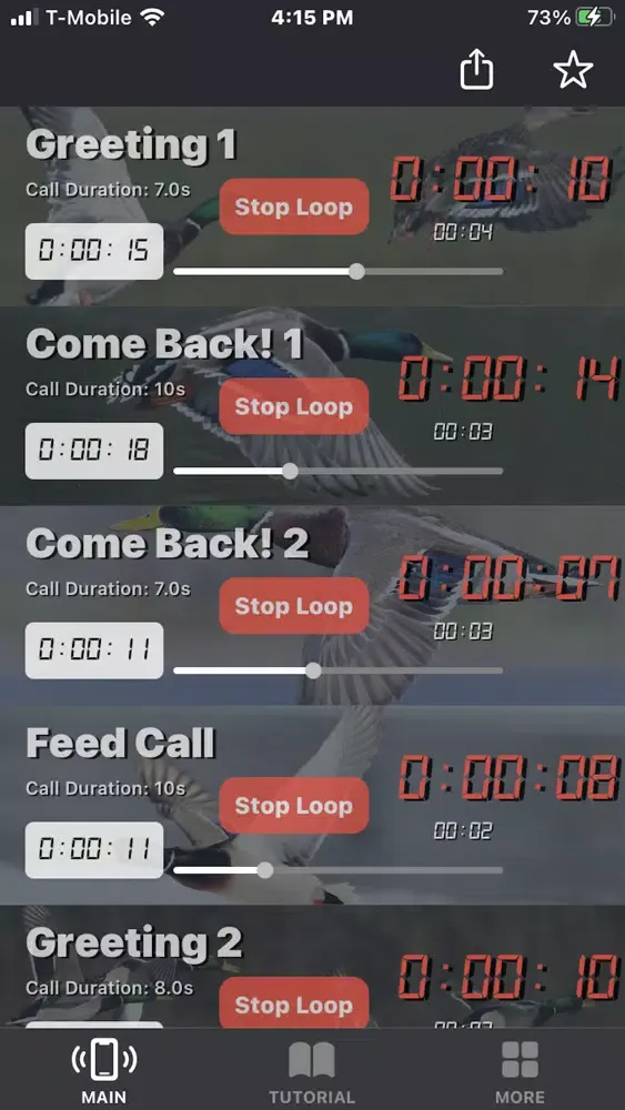 Mallard Duck Calls Screenshots