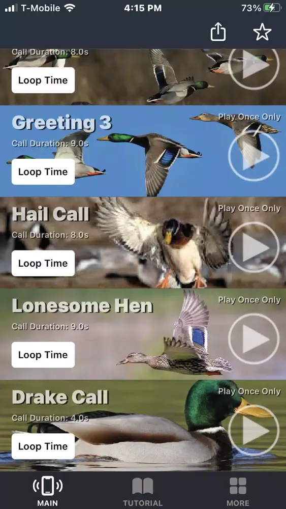 Mallard Duck Calls Screenshots