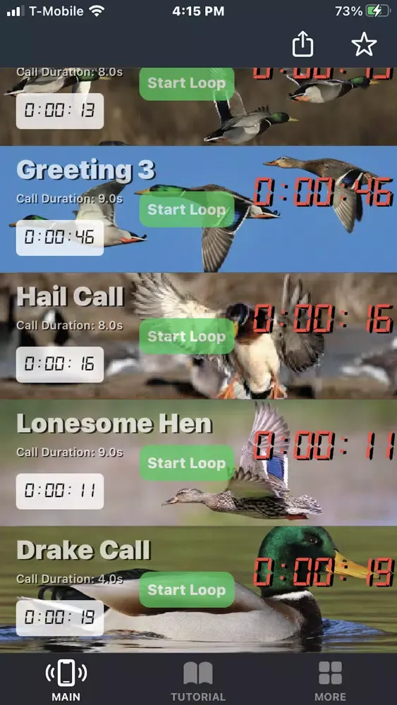 Mallard Duck Calls Screenshots