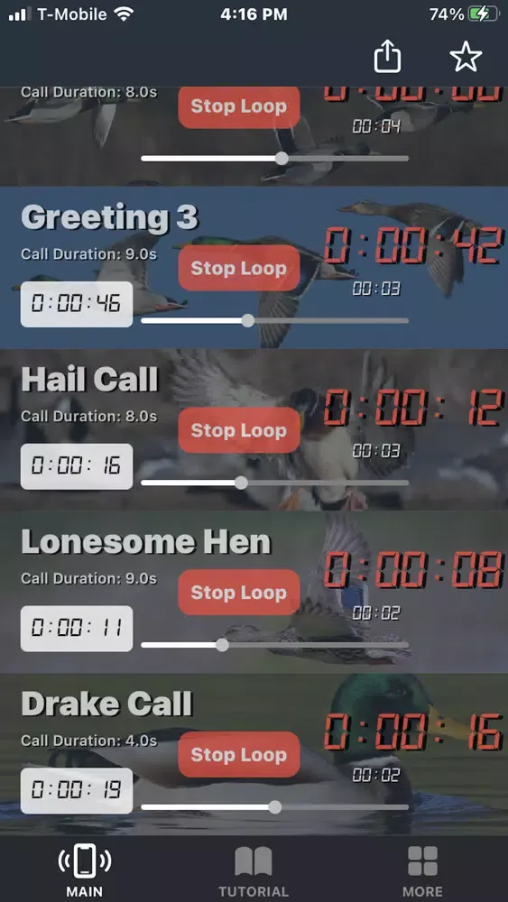 Mallard Duck Calls Screenshots