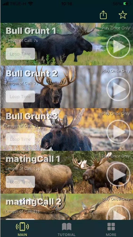Captures d'écran de Moose Calls for Hunters