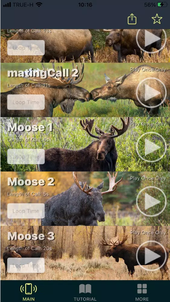 Captures d'écran de Moose Calls for Hunters