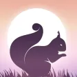 Squirrel Calls for Hunting