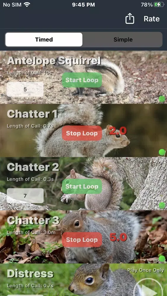 Squirrel Calls for Hunting 스크린샷