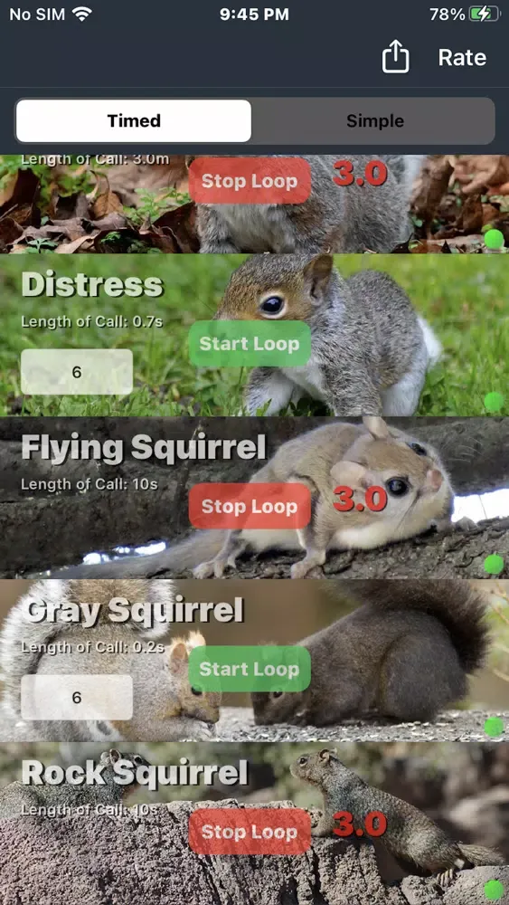 Squirrel Calls for Hunting 스크린샷