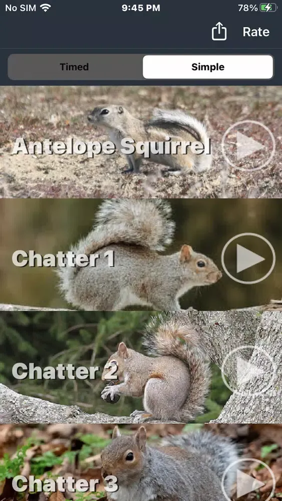 Squirrel Calls for Hunting 스크린샷