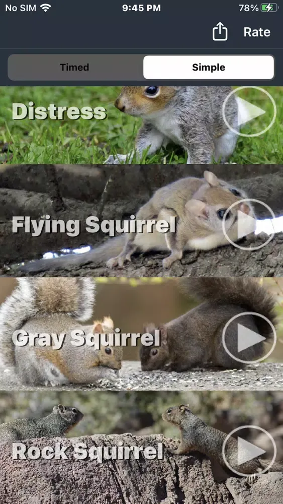Squirrel Calls for Hunting 스크린샷