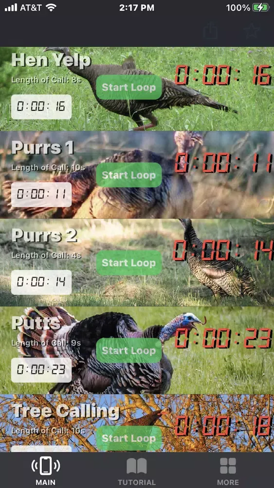 Turkey Calls for Hunting App Screenshots