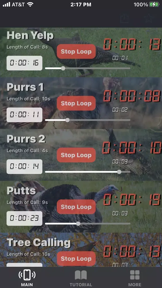 Turkey Calls for Hunting App Screenshots