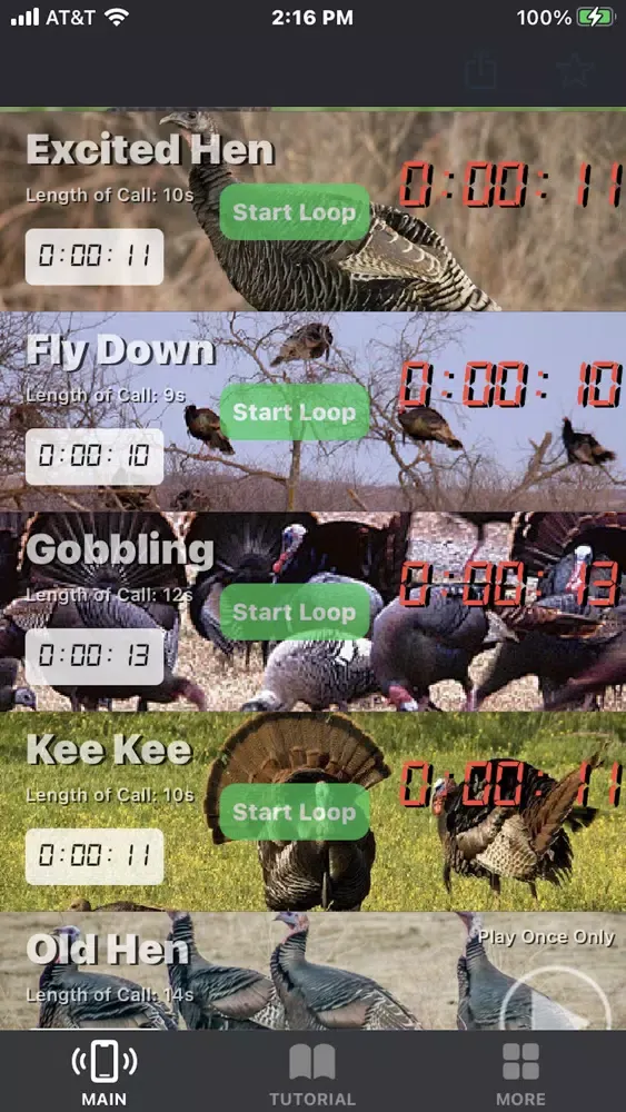 Turkey Calls for Hunting App Screenshots