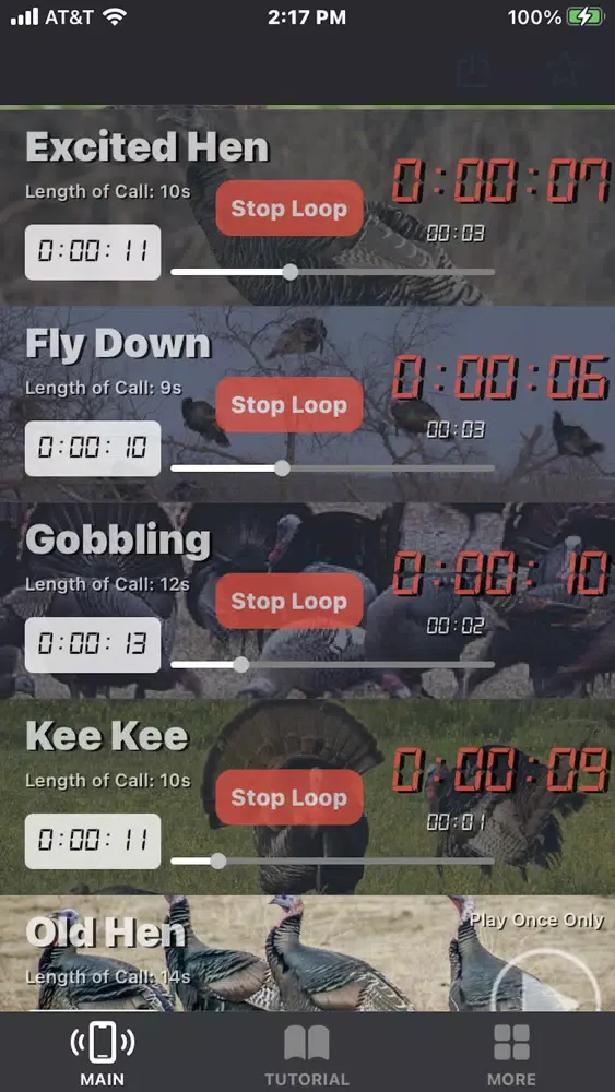 Turkey Calls for Hunting App Screenshots