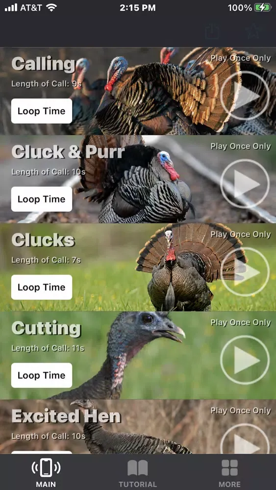 Turkey Calls for Hunting App Screenshots