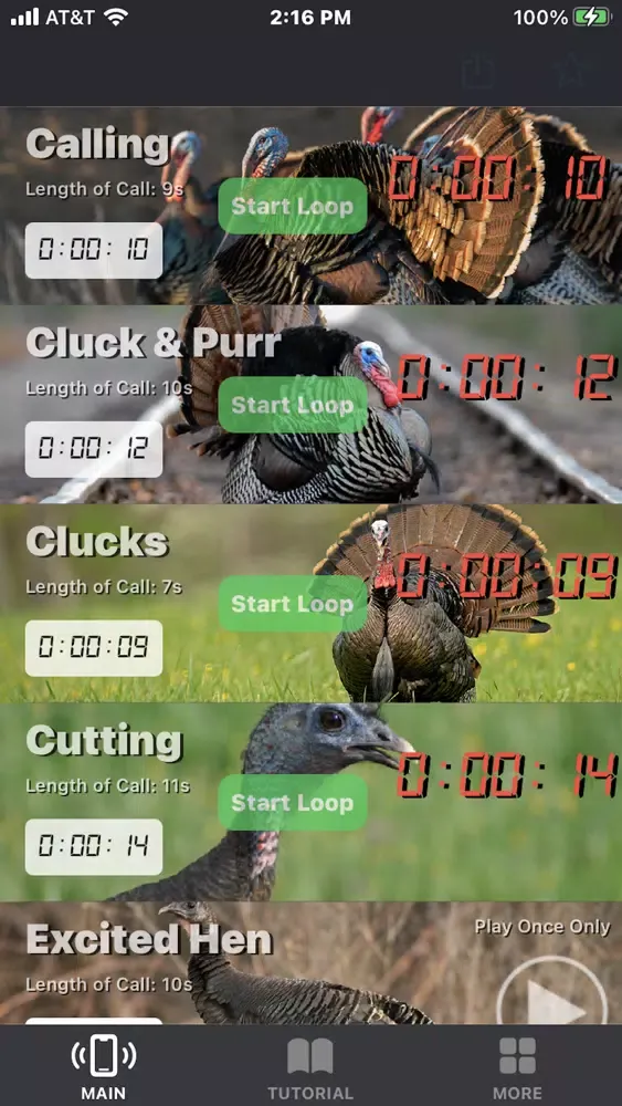 Turkey Calls for Hunting App Screenshots