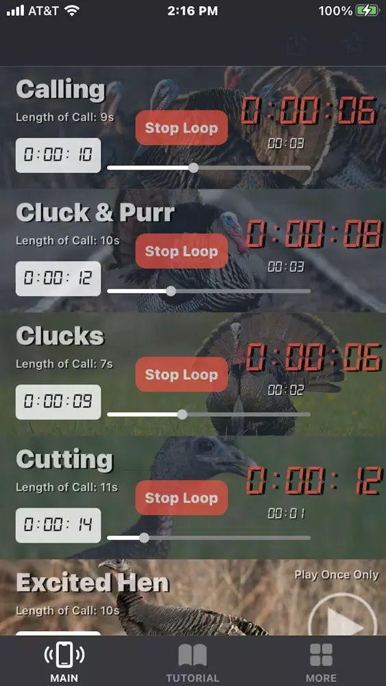 Turkey Calls for Hunting App Screenshots