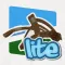 Catapult Attack Lite