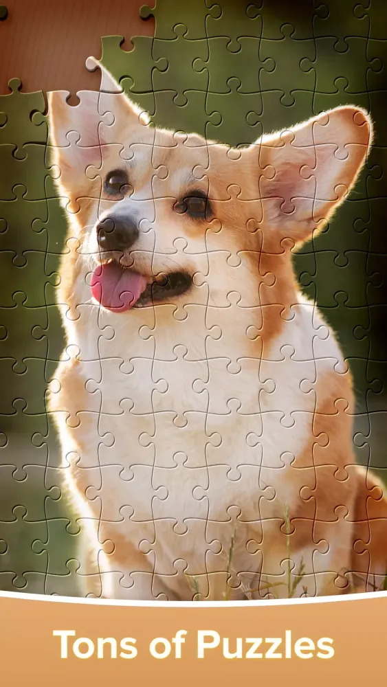 Tangkapan skrin Jigsaw Puzzles