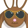 Funn E Bunny Funn E Bunny