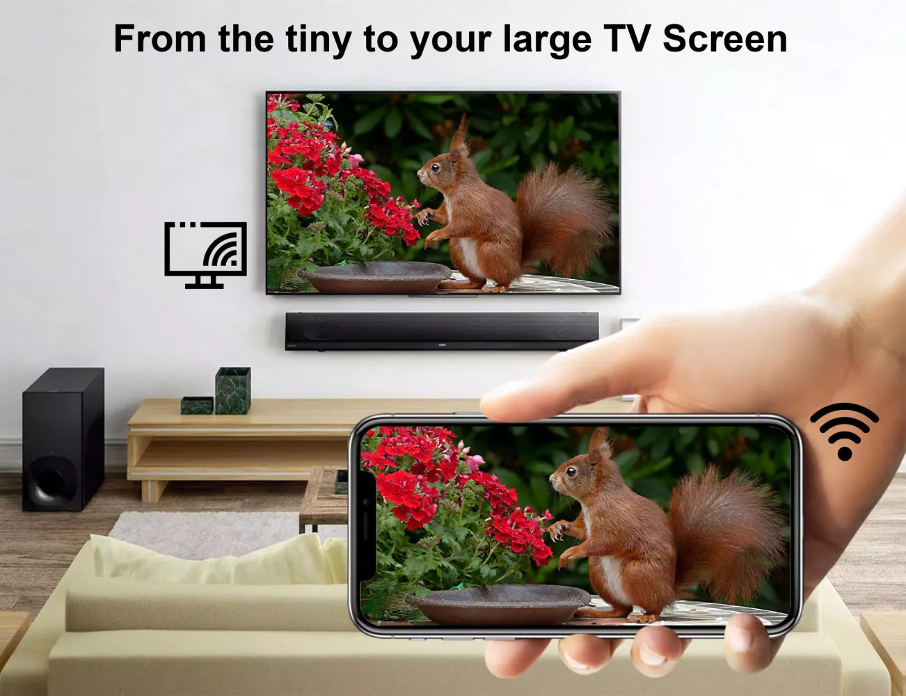 Screen Mirroring TV应用截图
