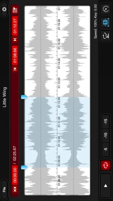 تصاویر mimiCopy - Slow Down Player