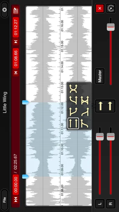 تصاویر mimiCopy - Slow Down Player
